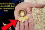Man’s Hidden Secret Unveiled: 1,000 Gold Coins Found Behind Wall!